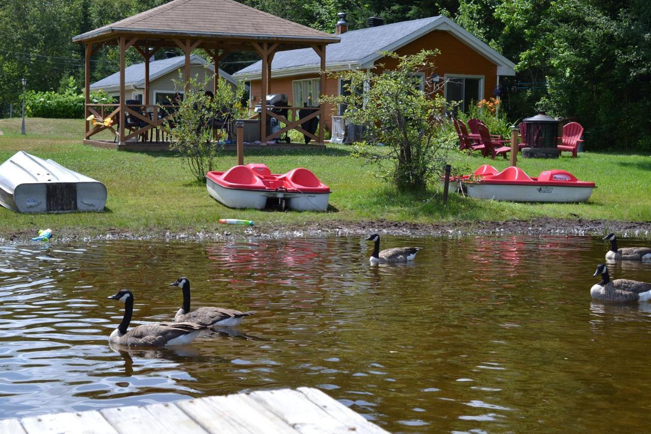 Les 4 Chalets - Le 605 Lac-Saint-Paul 외부 사진